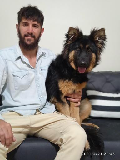 عکس پانسیون حیوانات بیگی کنل