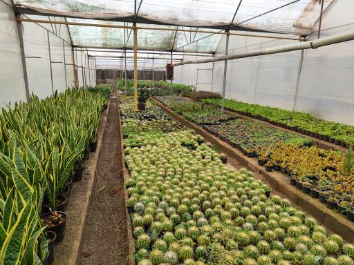 عکس گلخانه نادی