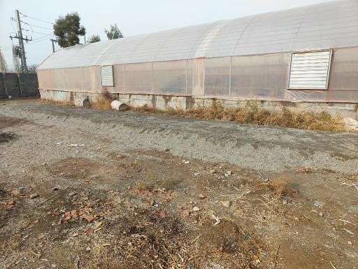 عکس گلخانه نادی