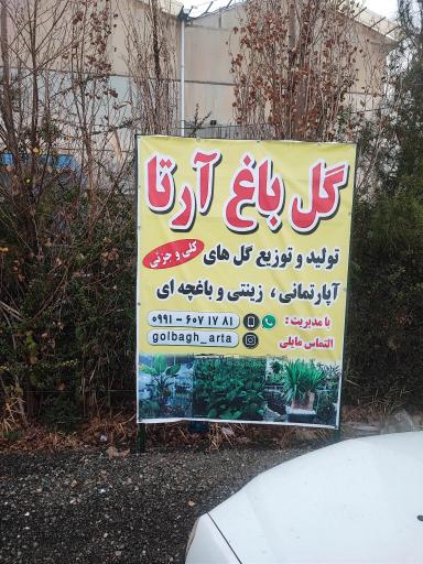 عکس گل باغ آرتا