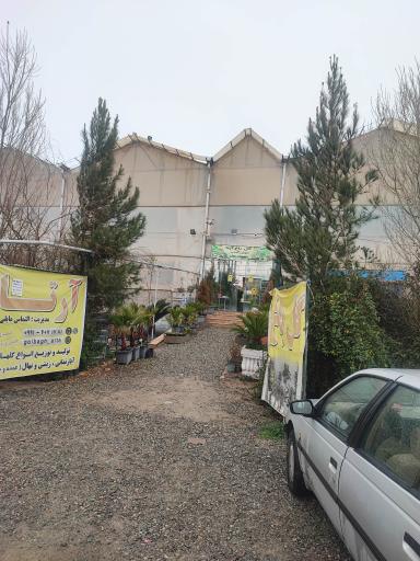 عکس گل باغ آرتا