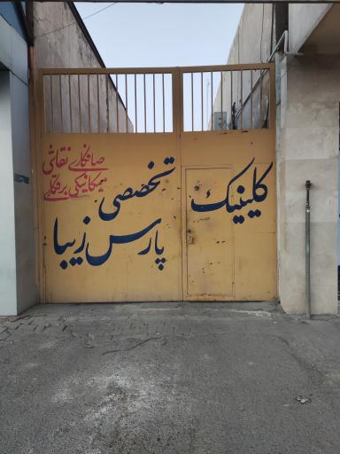 عکس صافکاری و نقاشی پارس زیبا