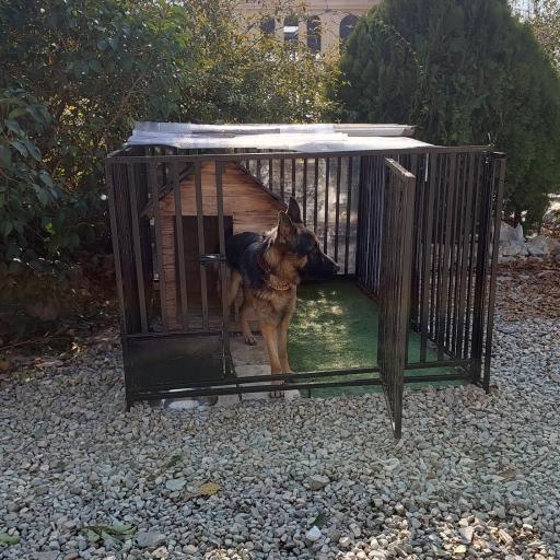 عکس پانسیون و باشگاه آموزش و تربیت لئوداگ مربی سگ مرتضی شکری