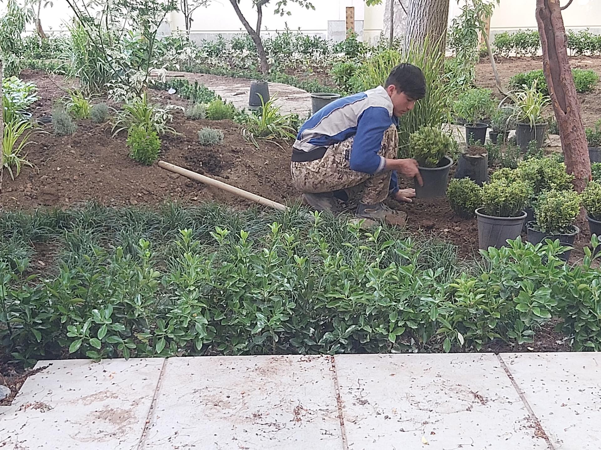 عکس طراحی فضای سبز مهندس خانیان