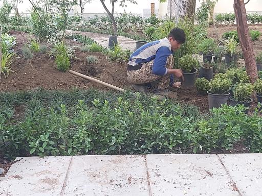 عکس طراحی فضای سبز مهندس خانیان