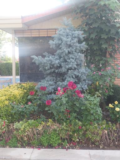 عکس طراحی فضای سبز مهندس خانیان