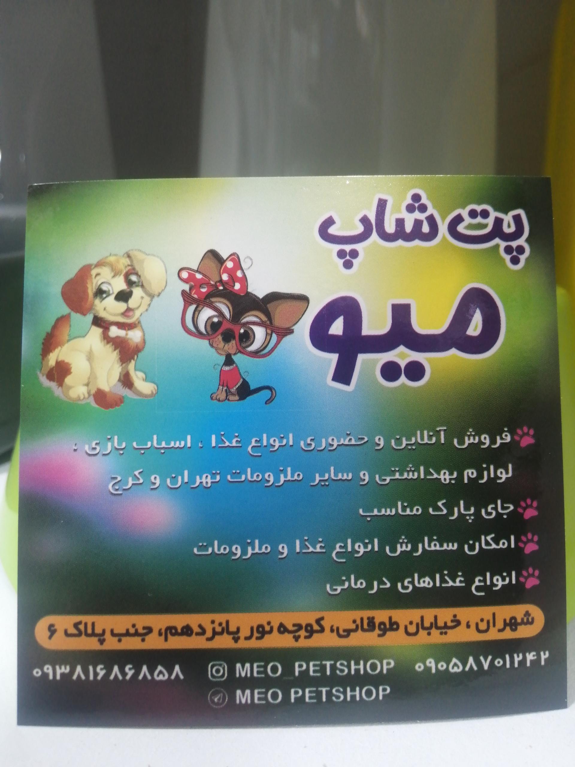 عکس پت شاپ میو