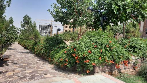 عکس بوستان آبادگران