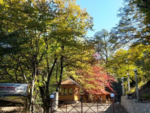 عکس پارک آزادمهر