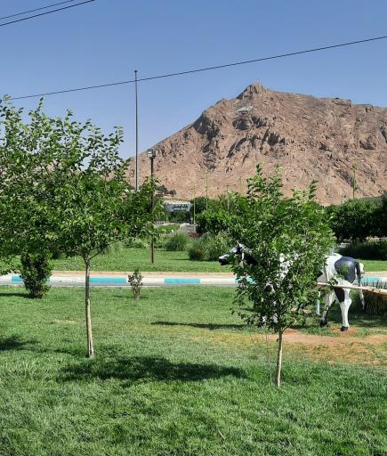 عکس پارک کوهستان