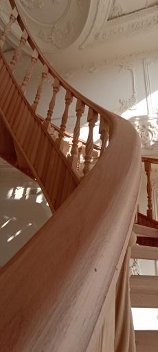 عکس نرده سعید