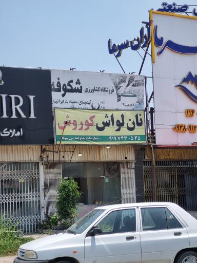 عکس نان لواش کوروش 