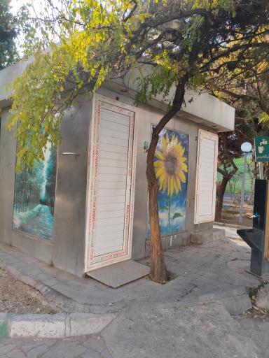 عکس سرویس بهداشتی