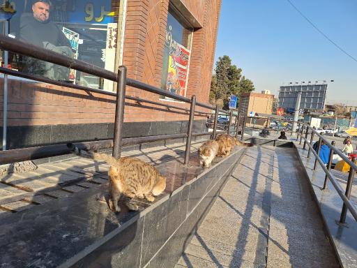 عکس میدان صنعت