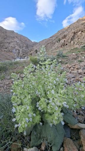 عکس پارک کوهستان