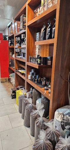 عکس کافه کوئین