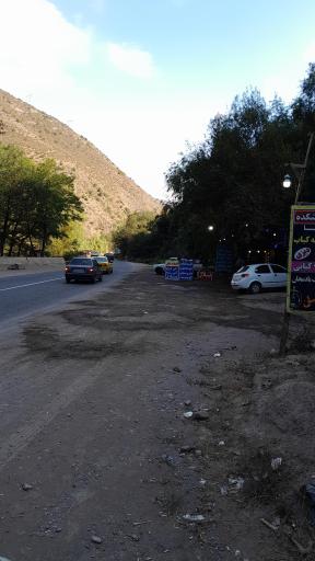 عکس پذیرایی پارسا