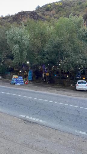 عکس پذیرایی پارسا