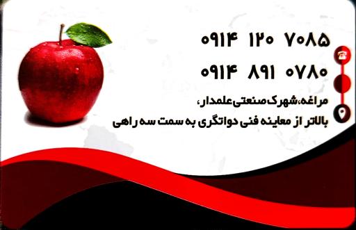 عکس سردخانه ماندگار سهند منصوری 