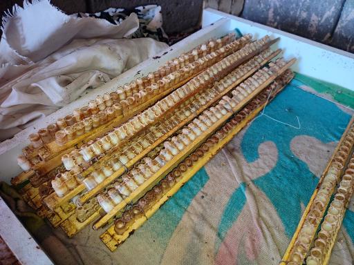 عکس زنبورستان و تولید ژل رویال و عسل مرتضی رستمی