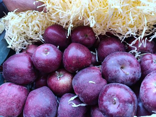 عکس سردخانه ماندگار سهند منصوری 