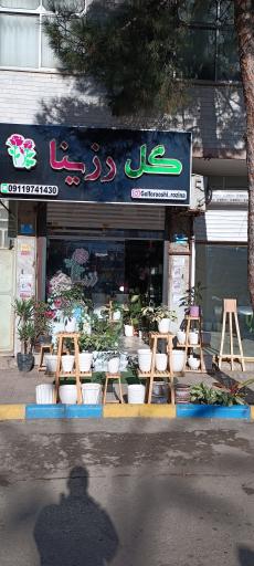 عکس گلفروشی رزینا
