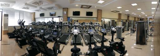 عکس باشگاه ورزشی پایا