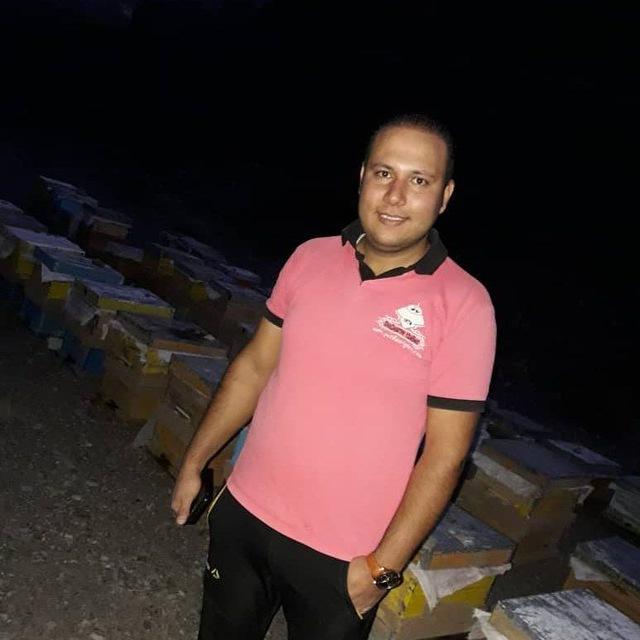 عکس زنبورستان و تولید ژل رویال و عسل مرتضی رستمی