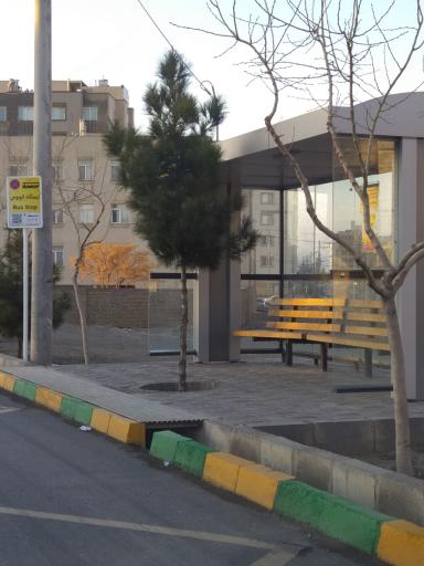 عکس  مجیدیه 45