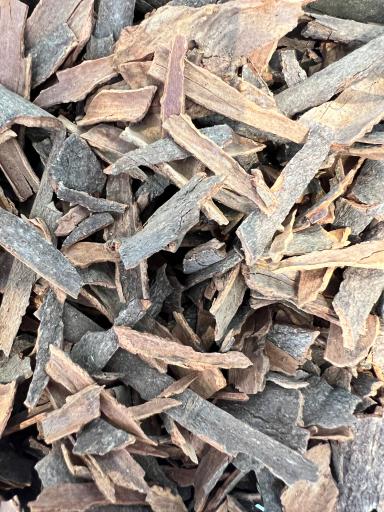 عکس عطاری مهدی۳