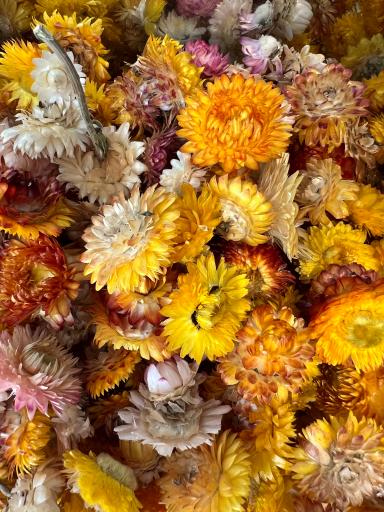 عکس عطاری مهدی۳