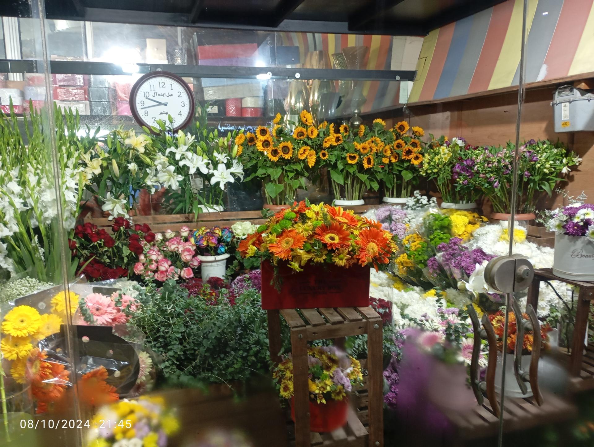 عکس گلسرای بزرگ شهر