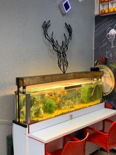 عکس بستنی کاله