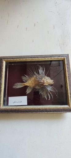 عکس عمارت طاهری (موزه مردم شناسی بوشهر)