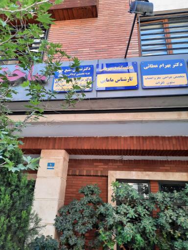 عکس دکتر نسرین منبع جود