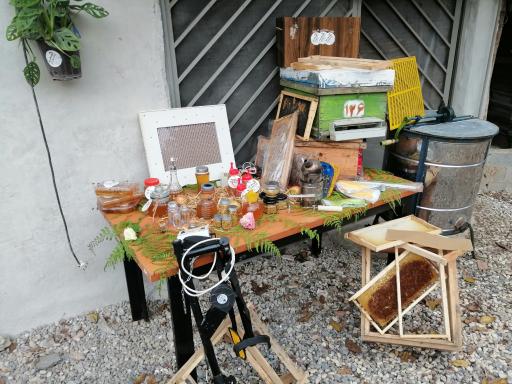 عکس زنبورستان و آموزشگاه فنی و حرفه ای  باغ مینا 