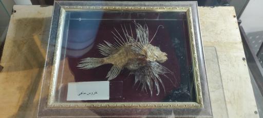 عکس عمارت طاهری (موزه مردم شناسی بوشهر)