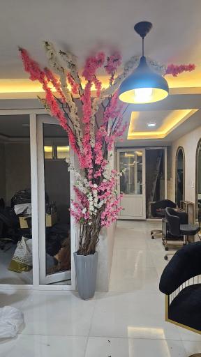 عکس سالن زیبایی و آموزشگاه دختر مشرقی