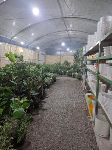 عکس گلخانه بهشت 