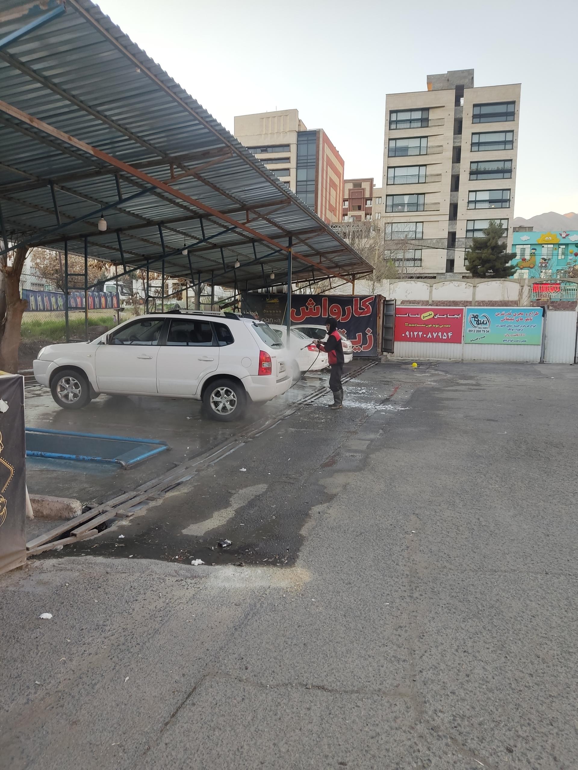 عکس کارواش زیتون