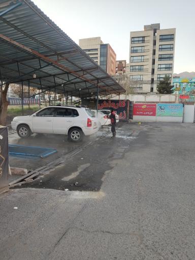 عکس کارواش زیتون