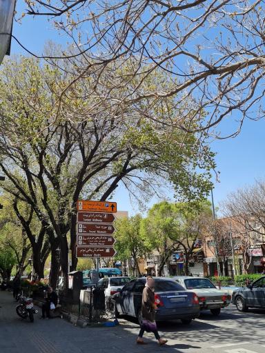 عکس بازار بزرگ تربیت