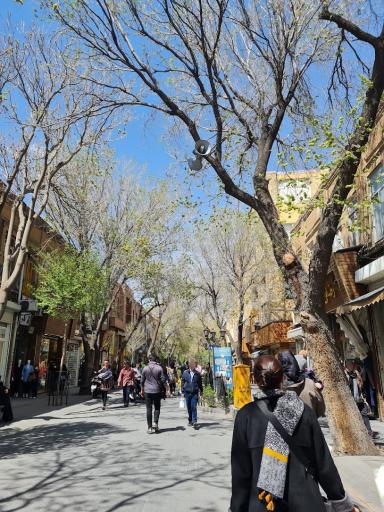 عکس بازار بزرگ تربیت