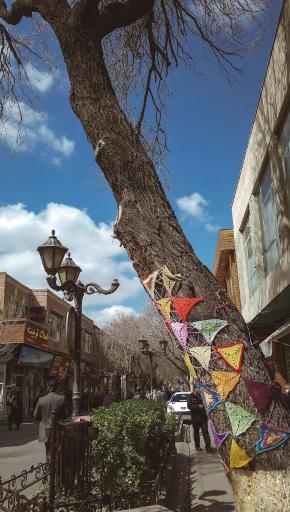 عکس بازار بزرگ تربیت