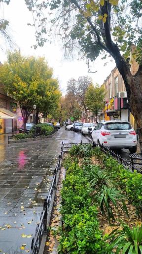 عکس بازار بزرگ تربیت