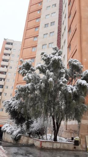 عکس مجتمع مسکونی بوستان