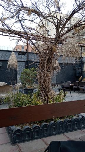 عکس کافه رستوران دایا