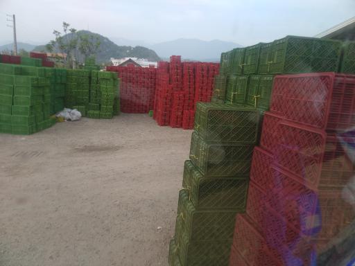 عکس قهرمان پلاستیک