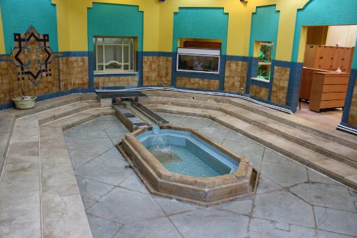 عکس استخر مجتمع فرهنگی ورزشی ونک تهران