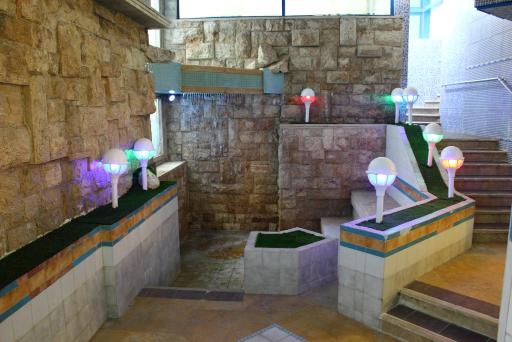 عکس استخر مجتمع فرهنگی ورزشی ونک تهران